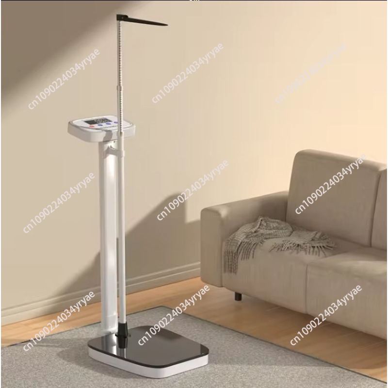 เครื่องชั่งน้ำหนักอัจฉริยะ เชื - Digital Body Weight Scale บทวิจารณ์และราคา