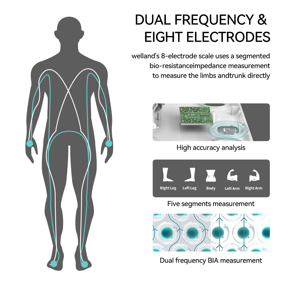 ปราดเปรื่อง8 สเกลอิเล็กโทรด ให - Digital Body Weight Scale บทวิจารณ์และราคา