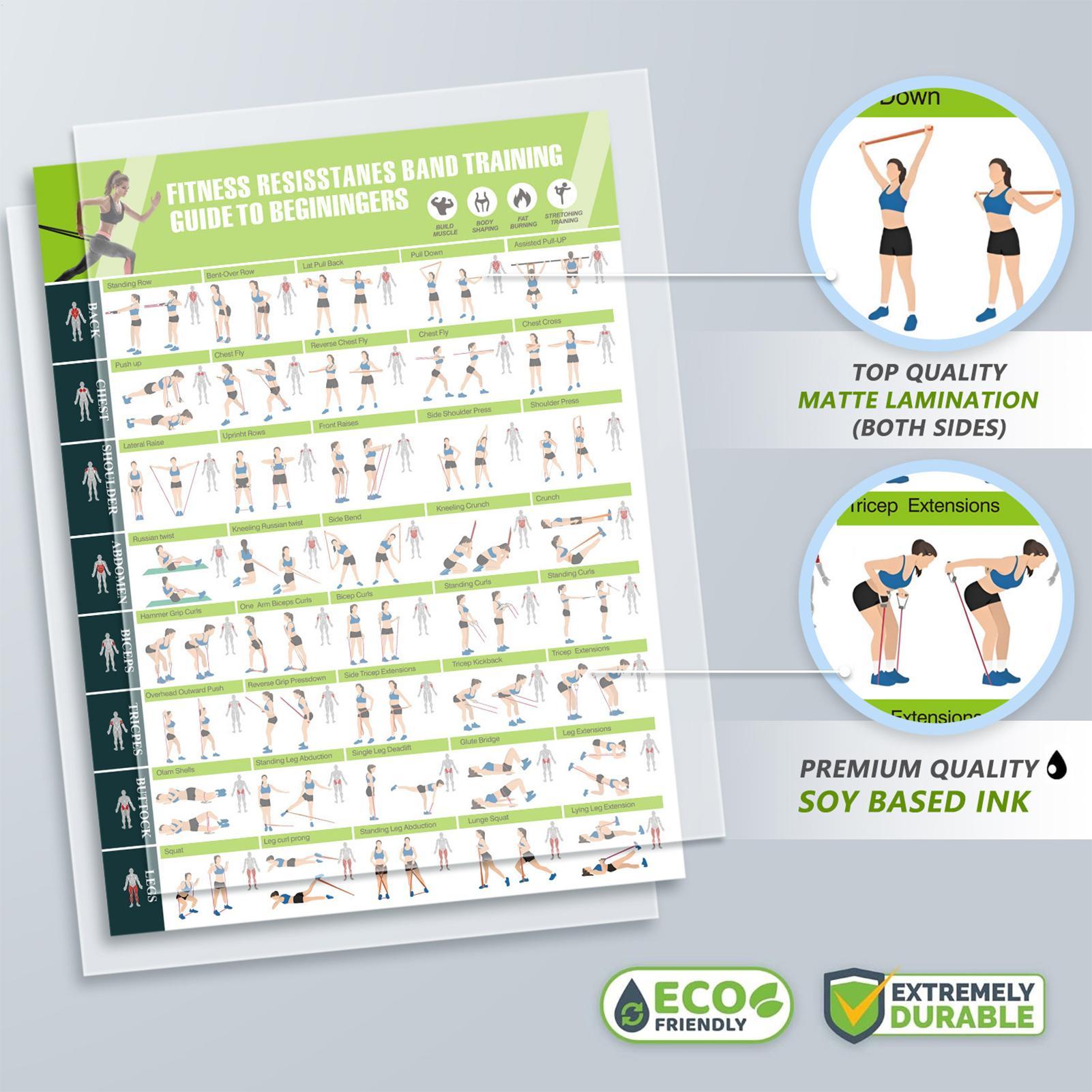 โปสเตอร์ออกกำลังกายพร้อมคู่มือ - Fitness Journal Planner บทวิจารณ์และราคา