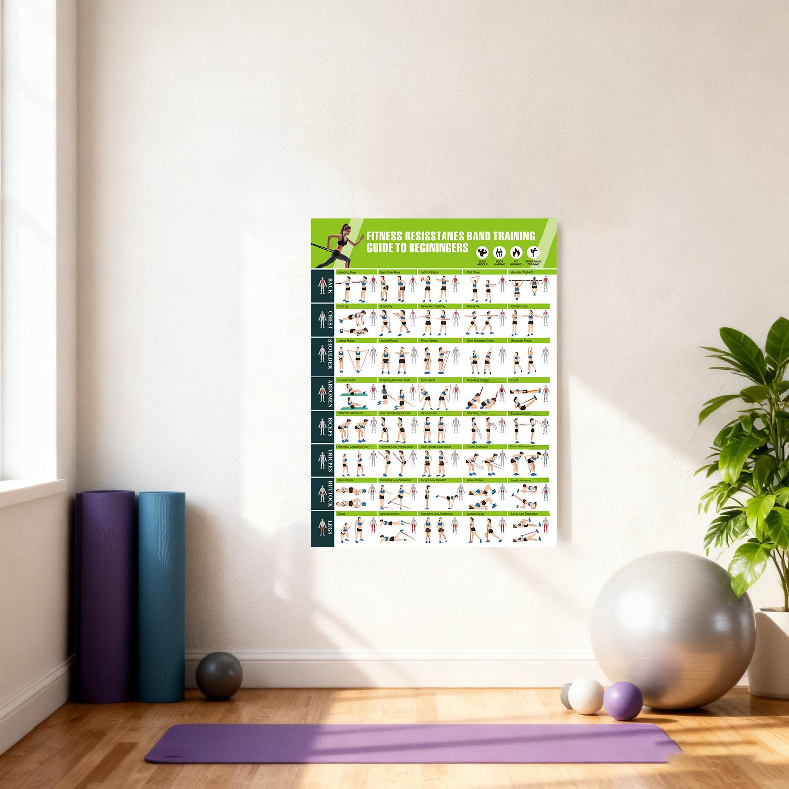 โปสเตอร์ออกกำลังกายพร้อมคู่มือ - Fitness Journal Planner บทวิจารณ์และราคา
